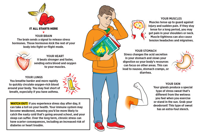 Tame The Stress Monster