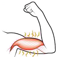 illustration of biceps flexing