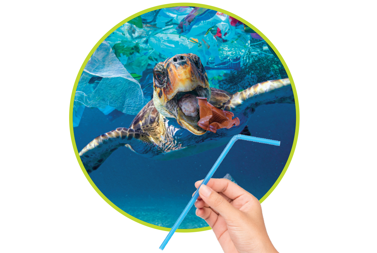 https://choices.scholastic.com/content/dam/classroom-magazines/choices/issues/2022-23/100122/fighting-to-save-marine-life/CHO-100122-Marine-Popup2.jpg