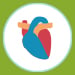 Illustrated icon of heart