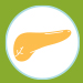 Illustrated icon of pancreas