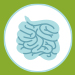 Illustrated icon of intestines
