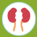 Illustrated icon of kidneys