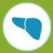 Illustrated icon of liver