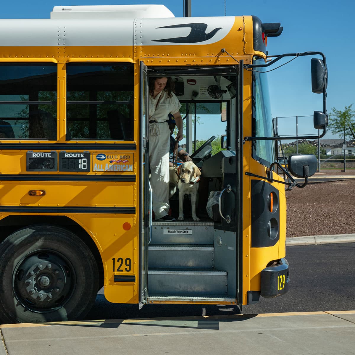 Image of person stepping off a bus with their service dog