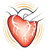 illustration of a beating heart